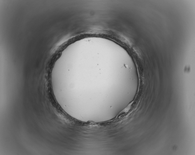 X0000096711304200802261619