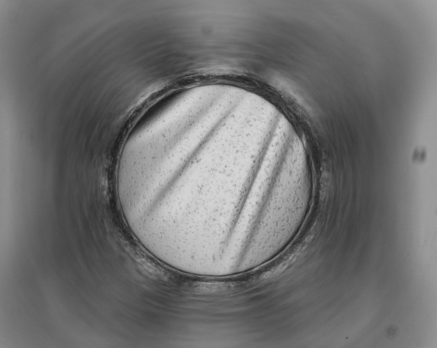 X0000096711305200802261619