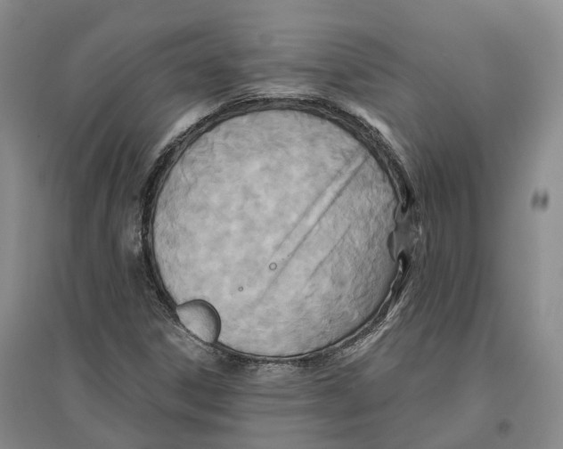 X0000096711306200802261619