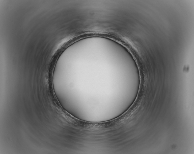 X0000096711307200802261619