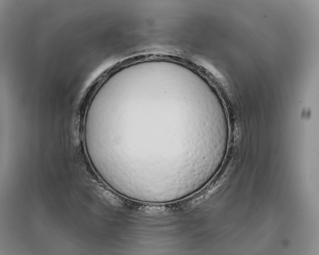 X0000096711310200802261619