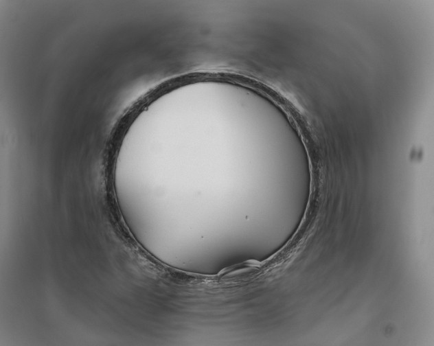 X0000096711311200802261619