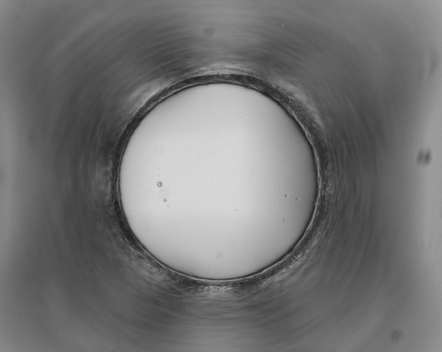 X0000096711313200802261619