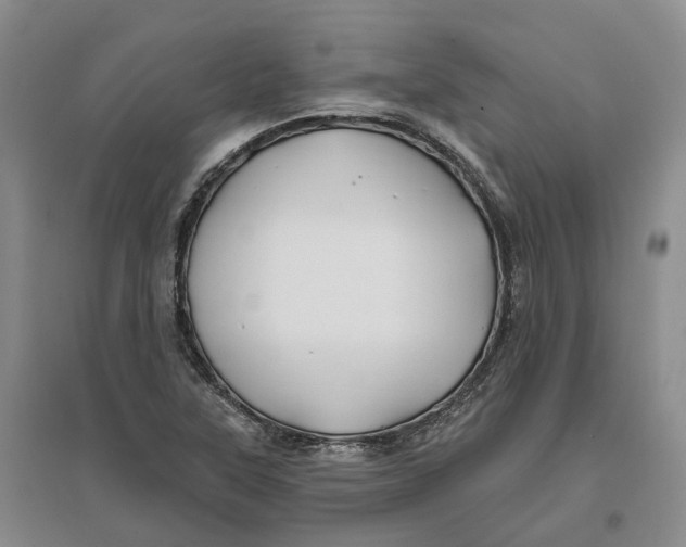 X0000096711315200802261619