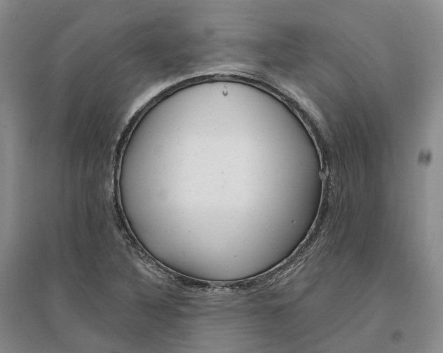 X0000096711316200802261619