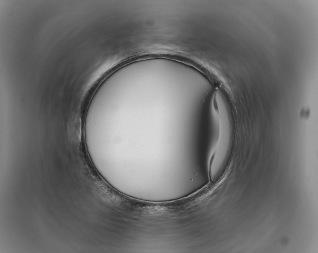 X0000096711317200802261619