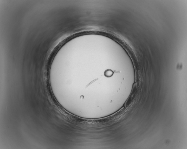 X0000096711318200802261620