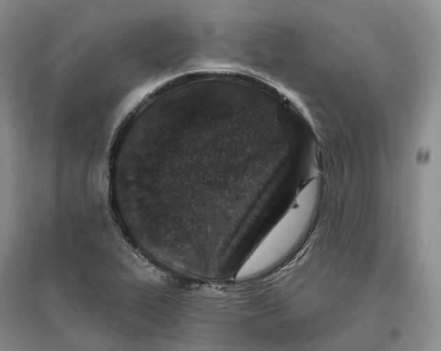 X0000096711319200802261620