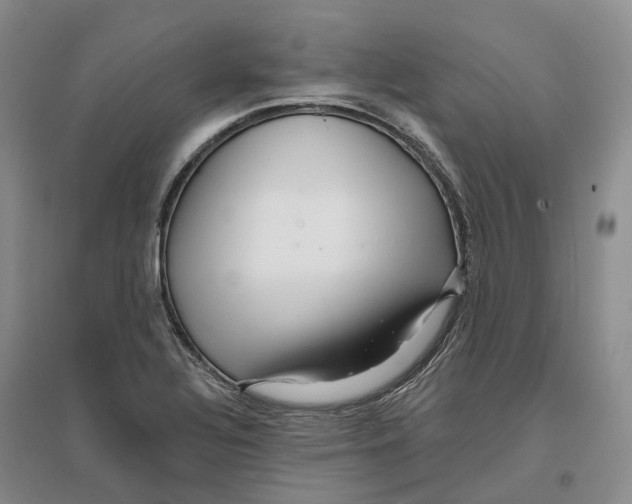 X0000096711320200802261620