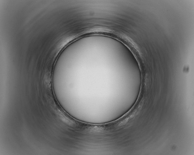 X0000096711321200802261620