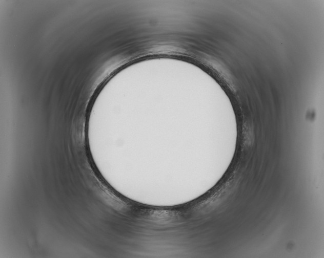 X0000096711322200802261620