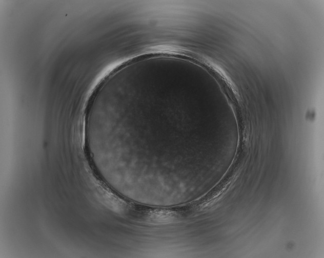 X0000096711323200802261620