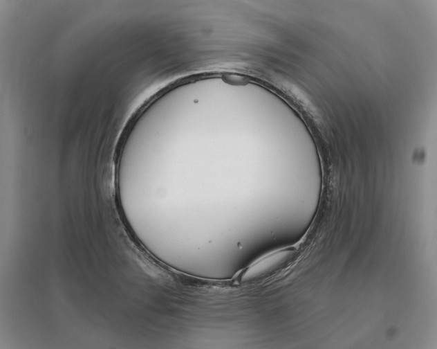 X0000096711324200802261620