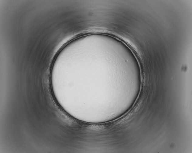 X0000096711325200802261620