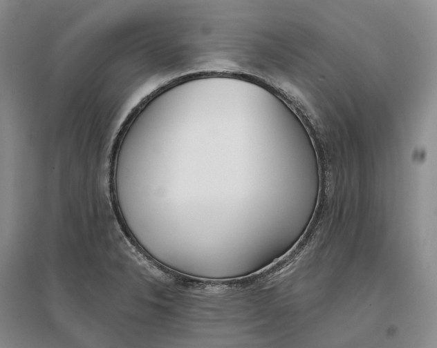 X0000096711326200802261620