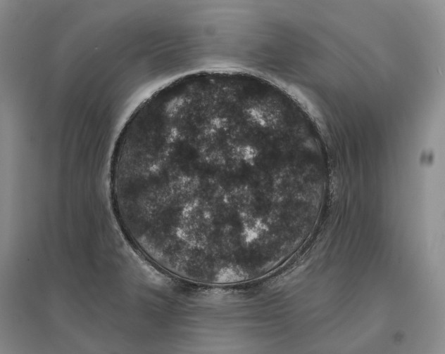 X0000096711327200802261620