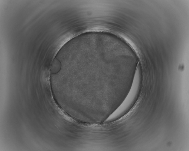 X0000096711329200802261620