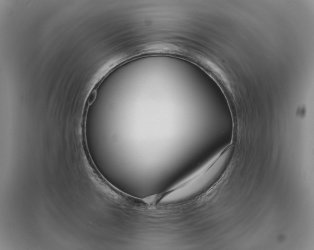 X0000096711330200802261620