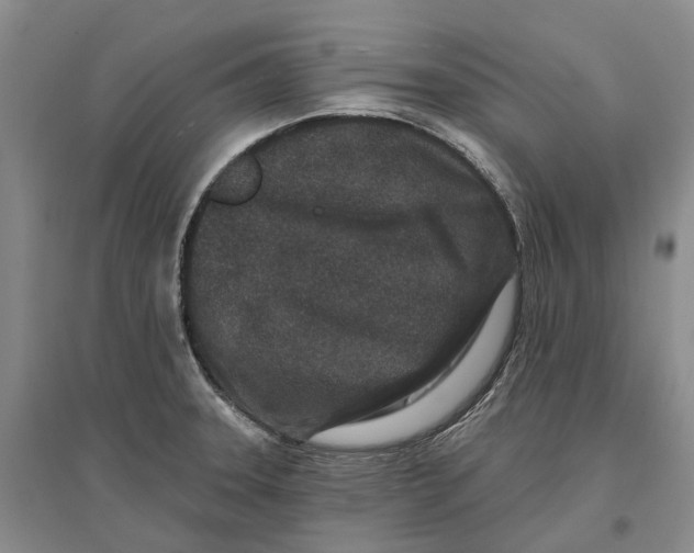 X0000096711331200802261620