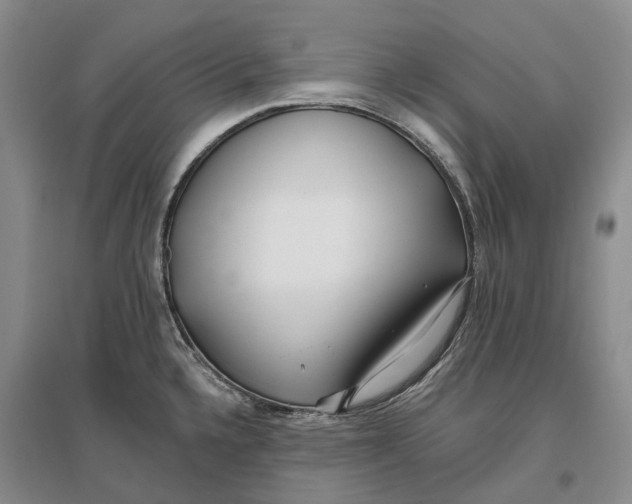 X0000096711336200802261620