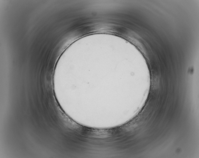 X0000096711338200802261620