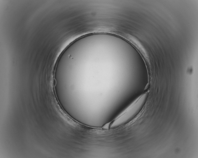 X0000096711340200802261620