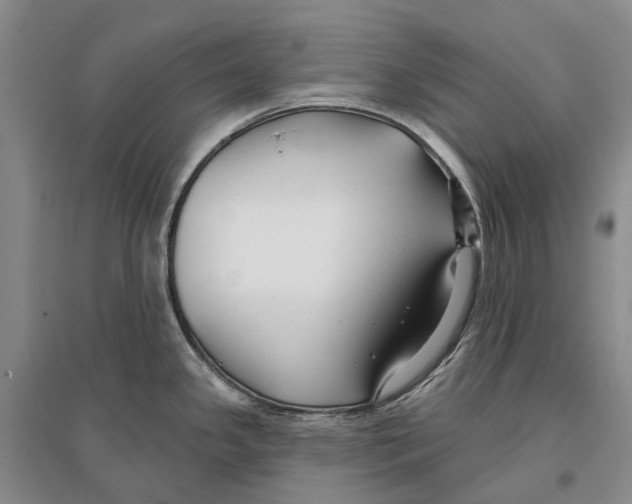 X0000096711341200802261620