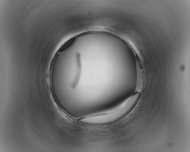 X0000096711342200802261620