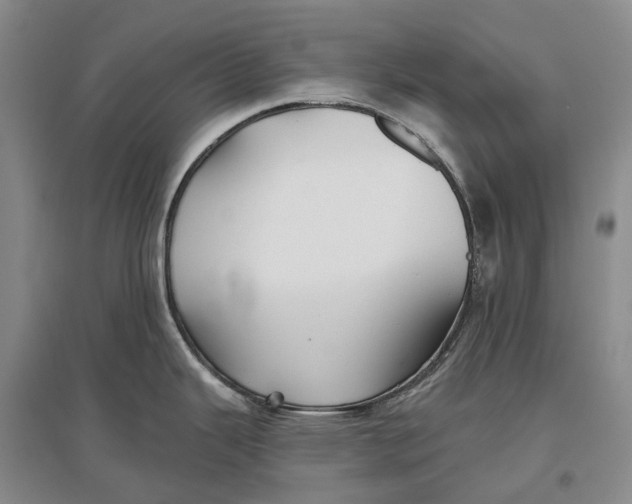 X0000096711343200802261620