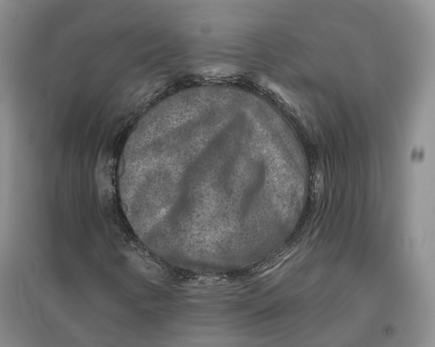 X0000096711346200802261619