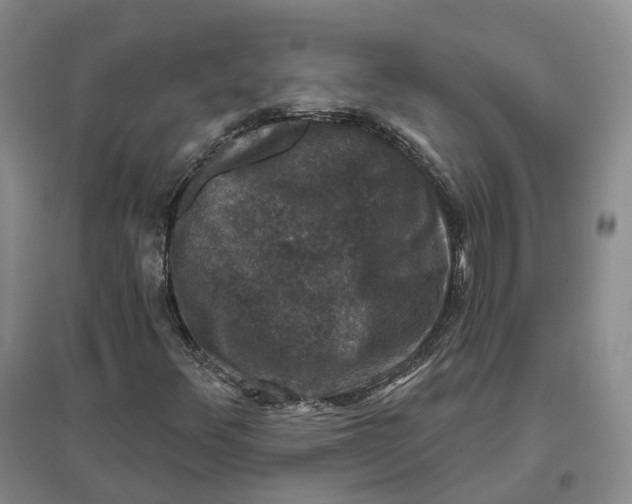 X0000096711348200802261619