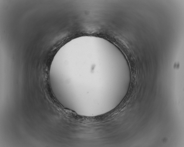 X0000096711349200802261619