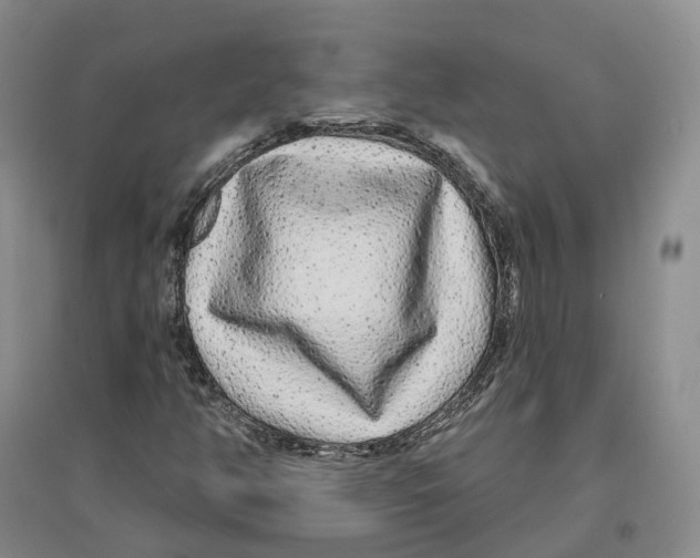 X0000096711350200802261619