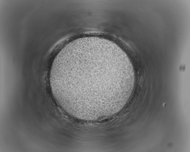 X0000096711351200802261619