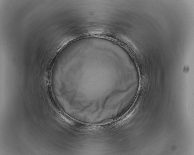 X0000096711353200802261619