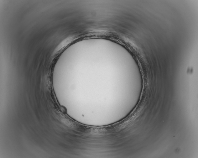 X0000096711354200802261619