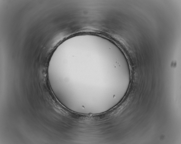 X0000096711355200802261619