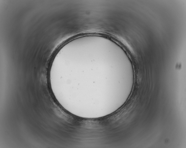 X0000096711356200802261619