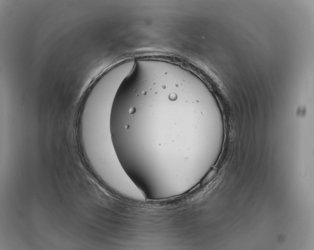 X0000096711357200802261619