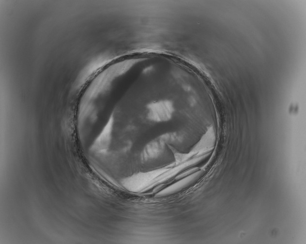 X0000096711359200802261619