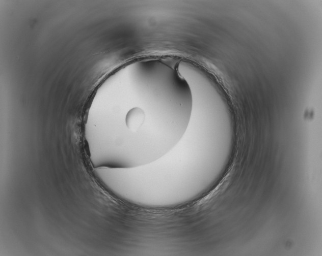 X0000096711361200802261619