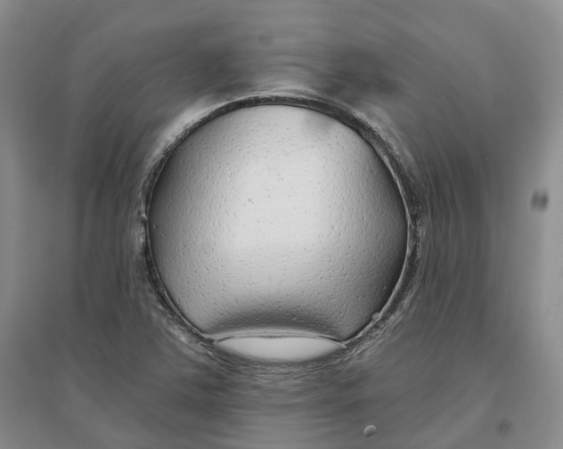 X0000096711363200802261619