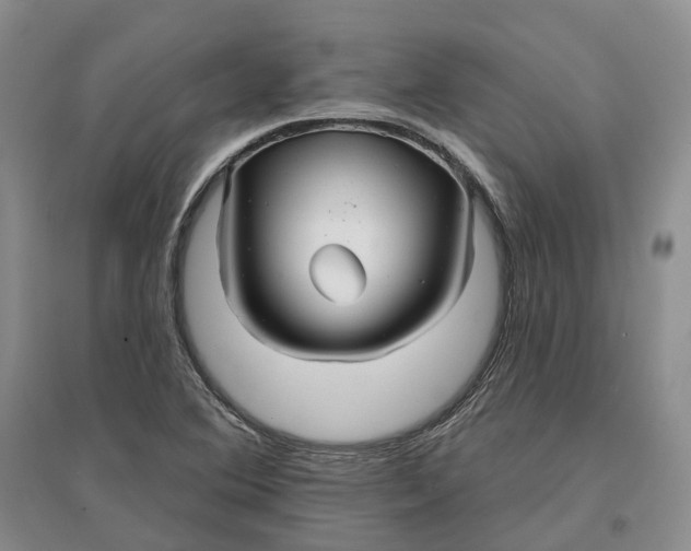 X0000096711364200802261619