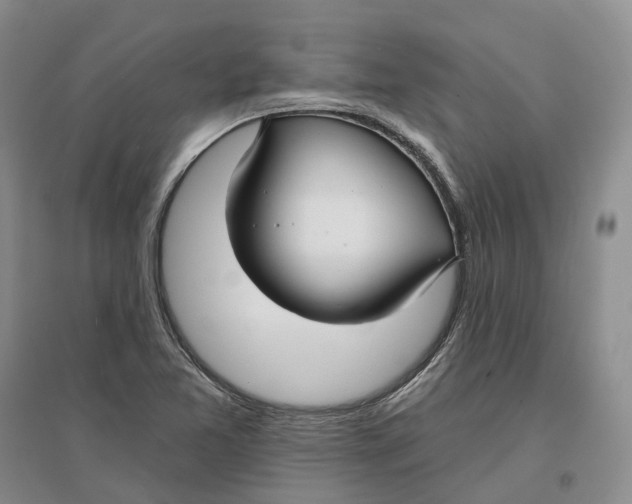 X0000096711365200802261619