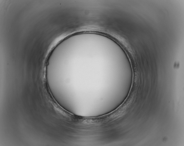 X0000096711366200802261619