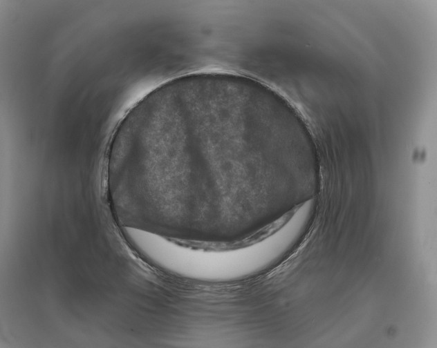 X0000096711367200802261619