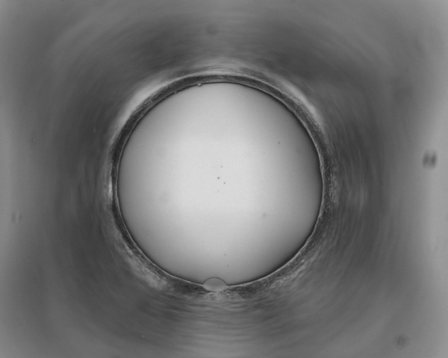 X0000096711368200802261619