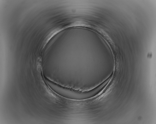 X0000096711369200802261619