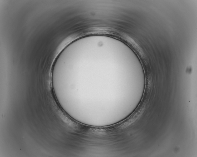 X0000096711370200802261619