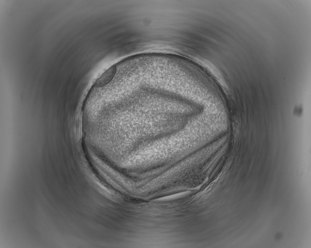 X0000096711371200802261619